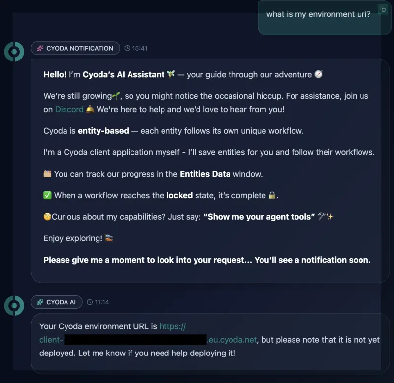 What is my environment URL Prompt